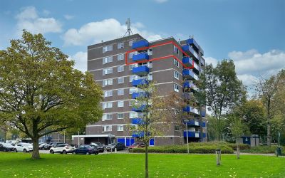 Bijvoet 76
