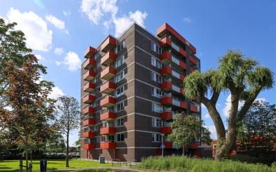 Zilverschoon 13