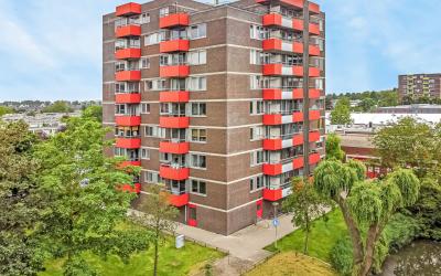 Zilverschoon 15