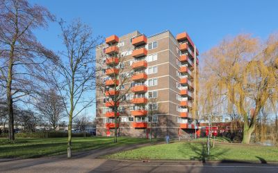 Zilverschoon 43