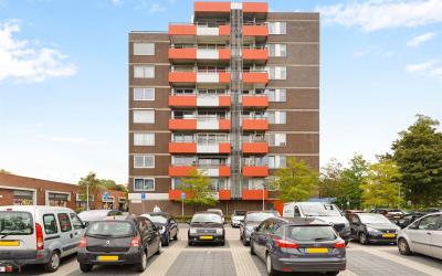 Zilverschoon 54