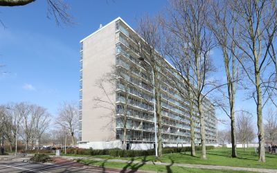 Brusselflat 24
