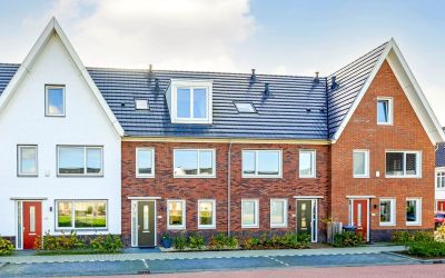Knobbelzwaan 117