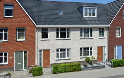 Knobbelzwaan 74