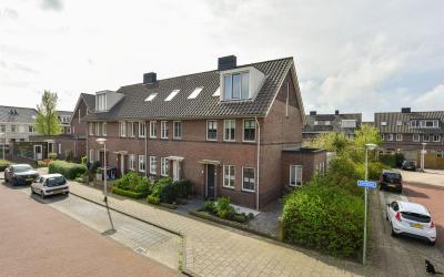 Dwergmuis 9