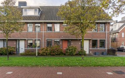 Veldmuis 44