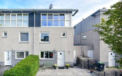 Rietgans 46