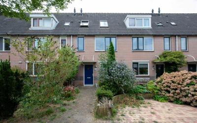 Brandgans 28