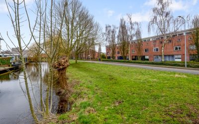 Bruine Lijs. 19