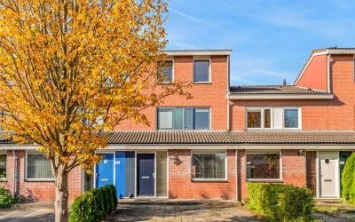 Bruine Lijs. 27