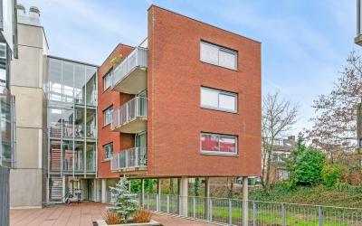 Gerberastra. 81