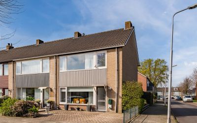 Willem-Alex. 40