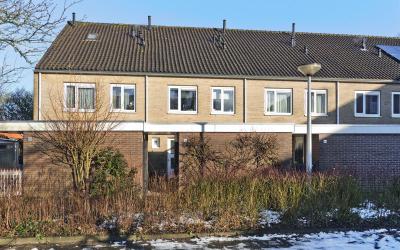 Schweitzers. 85