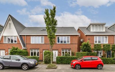 Dotterbloem. 16