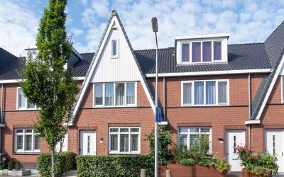 Dotterbloem. 24