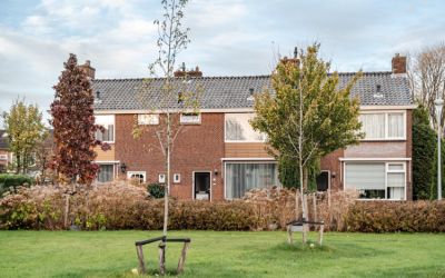 Zeilhof 29
