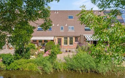 Goudenregen. 111