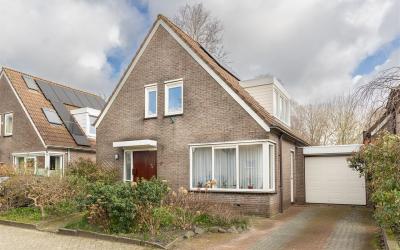 Goudenregen. 17