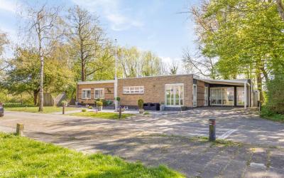 Goudenregen. 5