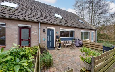 Dotterbloem 60