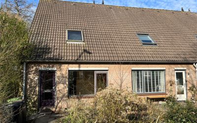Dotterbloem 96