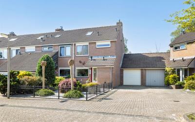 Boterbloem 75