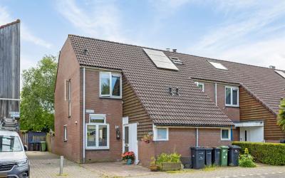 Hoornblad 1