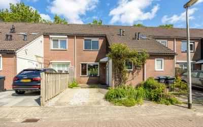 Leverkruid 24