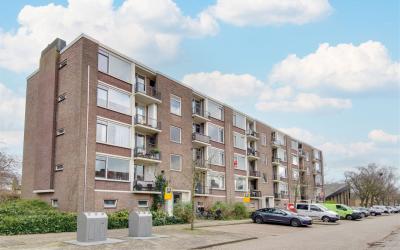 Maasstraat 24