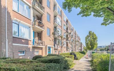 Scheldestraat 39