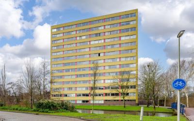 Boeierstraat 271