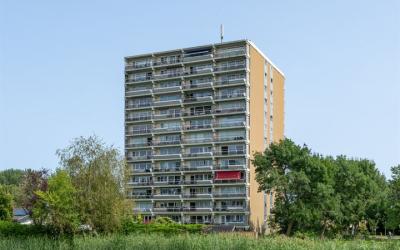 Burgemeeste. 205