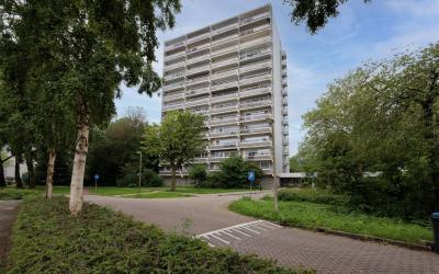 Burgemeeste. 743