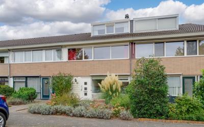 Meeuwstraat 13