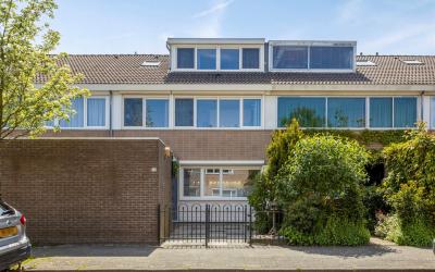 Aalscholver. 42