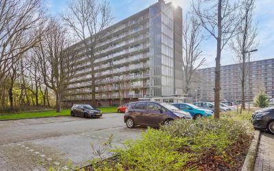 Westervenne 257