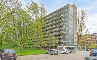 Westervenne 259