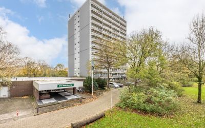 De Roerdomp 1