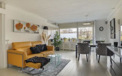 De Roerdomp 3