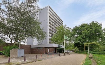 De Roerdomp 41