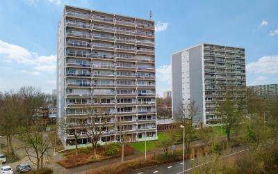 De Roerdomp 56