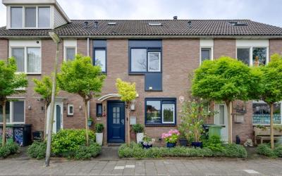 Rietdekkers. 38