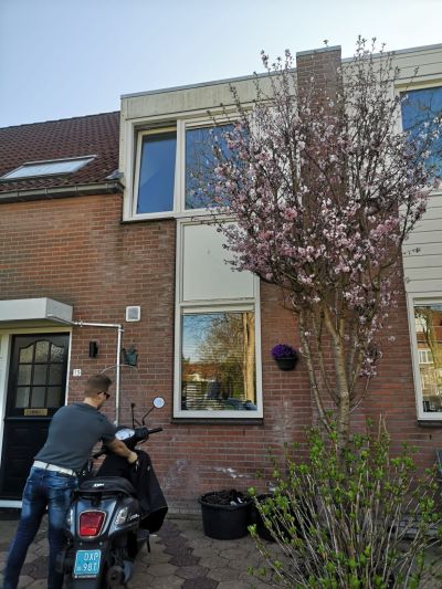 Wrongelstraat 13