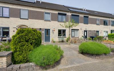 Walakker 117