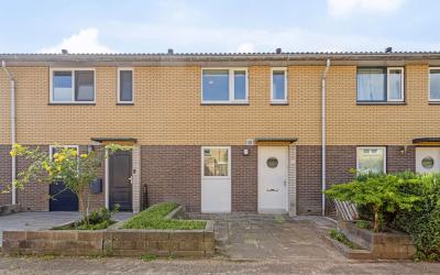 Parkstee 177