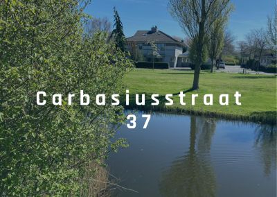 Carbasiusst. 37
