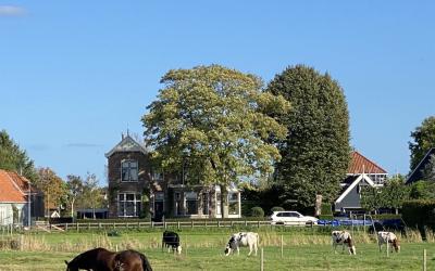 Edammerdijk. 5