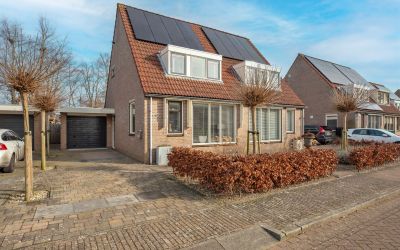 Haagwindela. 18