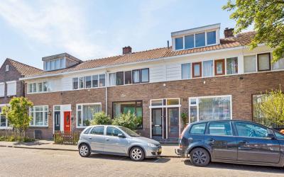 Jonge Arnol. 50