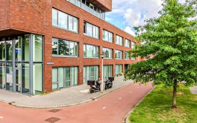 Koning Davi. 19